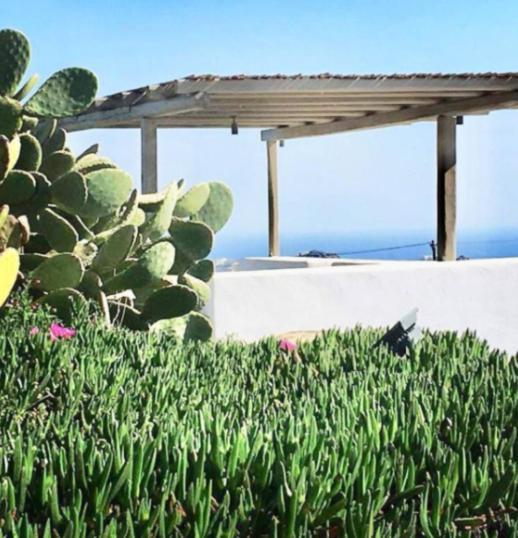 Avalon Cosy Kiku Studio For 2 With Shared Swimming Pool Agrari (Mykonos)